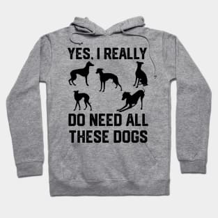 Greyhound yes, i really do need all these dogs Hoodie